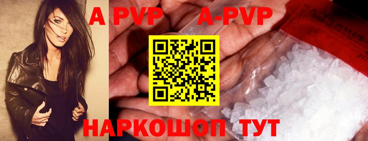 A PVP СК КРИС Новодвинск