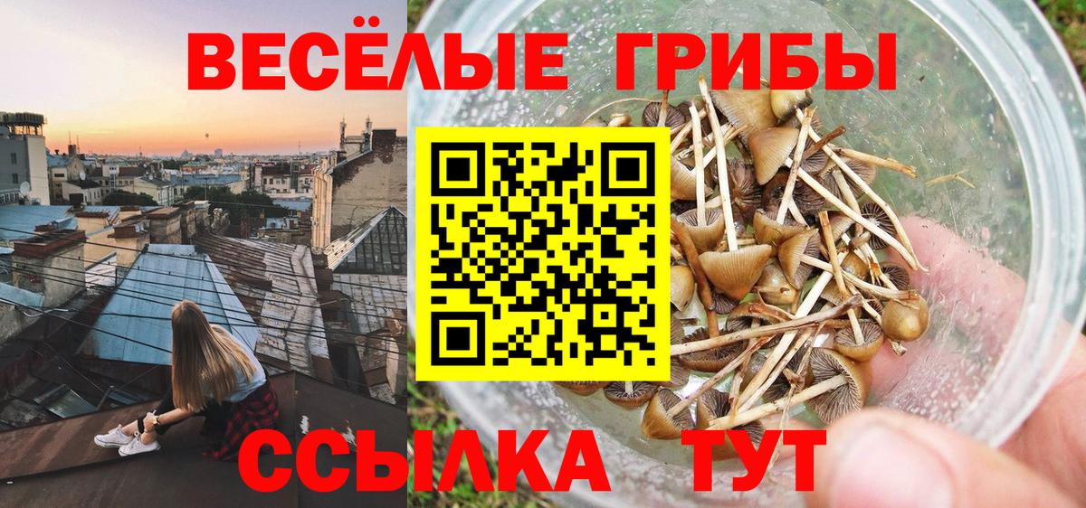 Псилоцибиновые грибы ЛСД  Вход с VPN  Галлюциногенные грибы Psilocybe  Новодвинск 